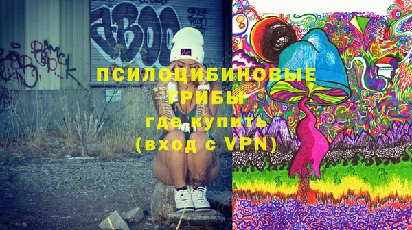 гашик Верхний Тагил